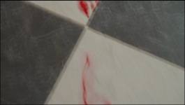 Noyontara - 8th July 2025